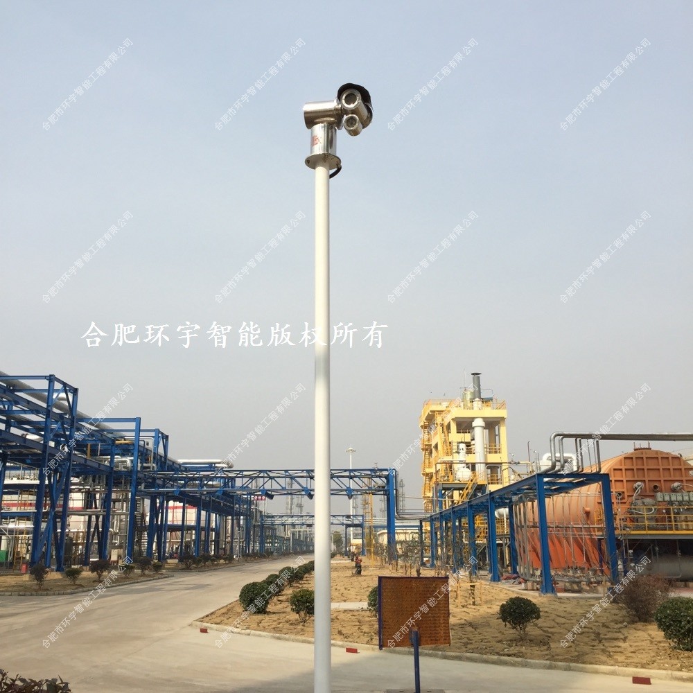 1733303539270712.jpg 5.jpg